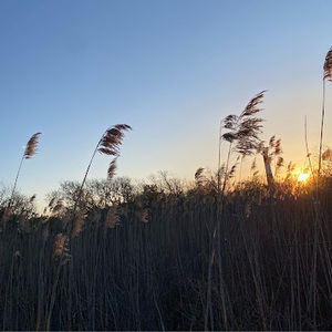 Meet your Posher, Evalynne